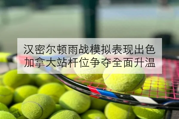 汉密尔顿雨战模拟表现出色 加拿大站杆位争夺全面升温